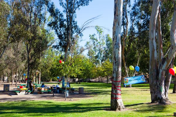 City of La Mesa Community Center