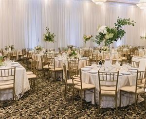 The Champagne Premium