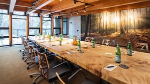 Shasta Boardroom