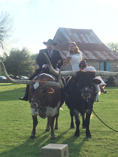 Wedding & Event Designs by Pamela