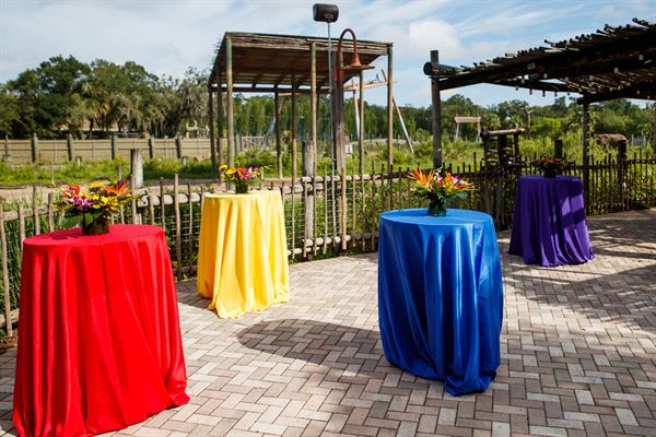 ZooTampa at Lowry Park