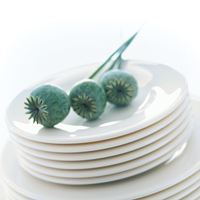 A-1 Tents and Party Rental