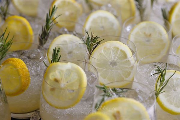 Lavish Liquid Event Bar Service