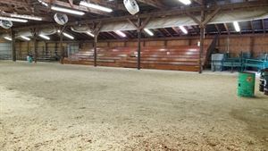 Livestock Auction Arena