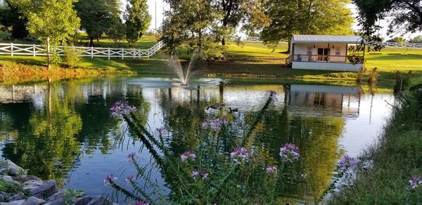 Owls' Landing Event Destination