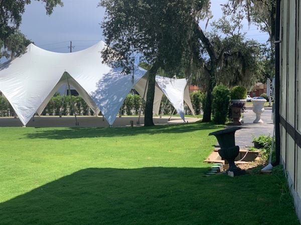 Elegance On The Bayou