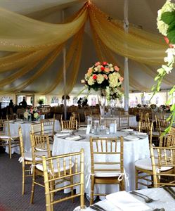 Garden Marquee