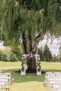Wedding Ceremony Willow Tree