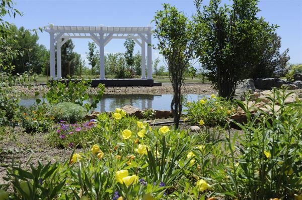 Meadows Event Center