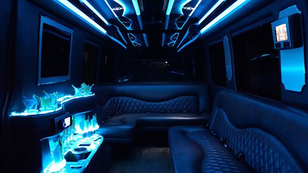 VIP Limo Service