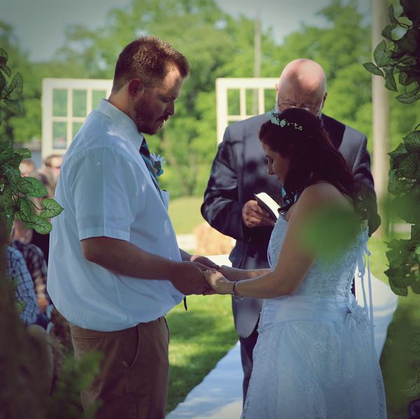 Mulberry Art and Photography