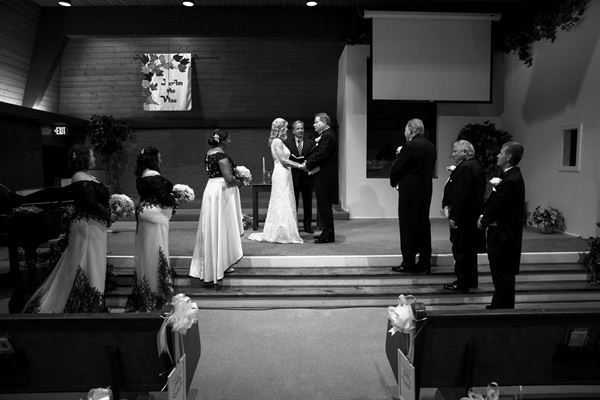 Mulberry Art and Photography