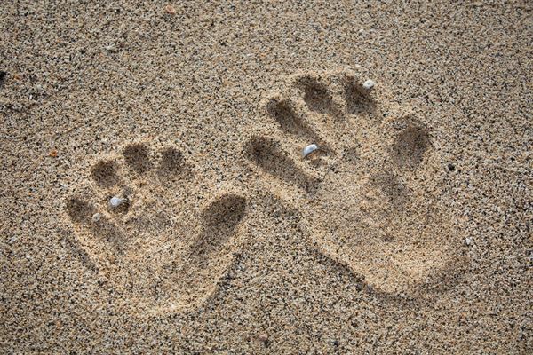 Kohalafoto Photography