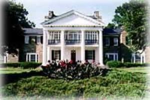 Delicious Gourmet, LLC