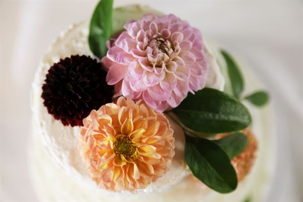 Mulberry Art and Photography