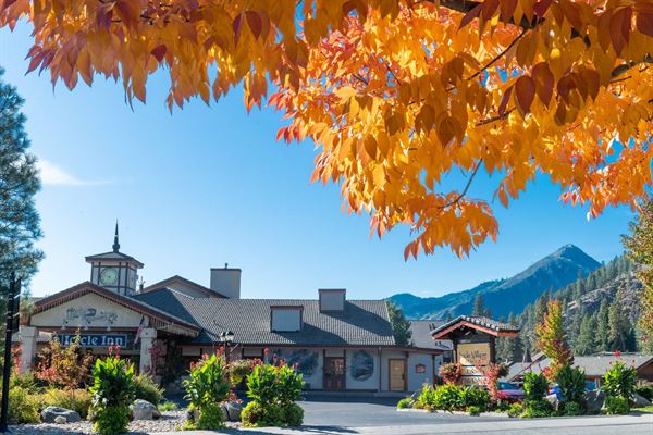 Icicle Village Resort