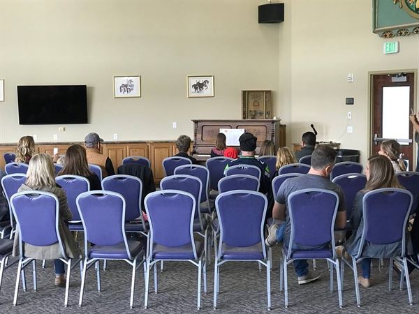 Gesa Carousel of Dreams