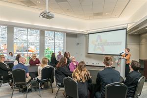 Boundary Waters Suite