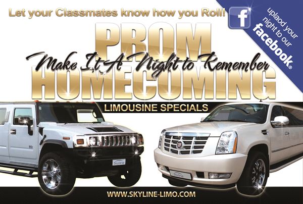Skyline Limousine