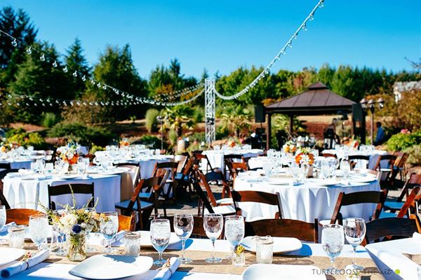 Cubanisimo Vineyards