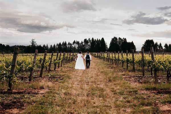 Cubanisimo Vineyards