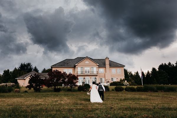 Cubanisimo Vineyards