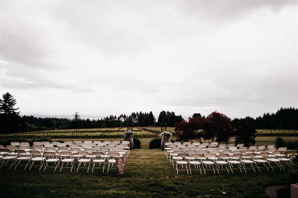 Cubanisimo Vineyards