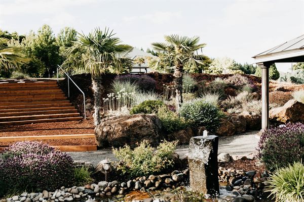 Cubanisimo Vineyards