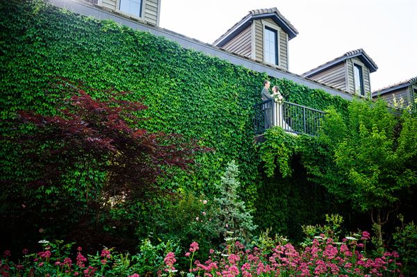 Ivy House Weddings and Events at Western Gardens Downtown