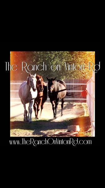 The Ranch On Vinton Road, Llc Private Ranch and Barn Wedding Venue