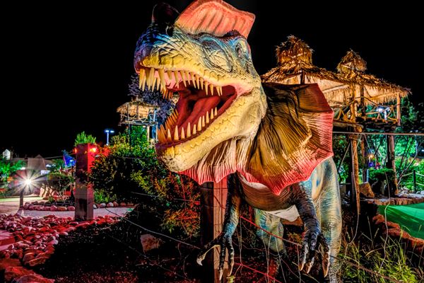 Lost Island Mini Golf