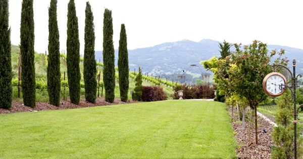 Vezer Family Vineyard