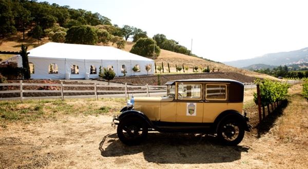 Vezer Family Vineyard