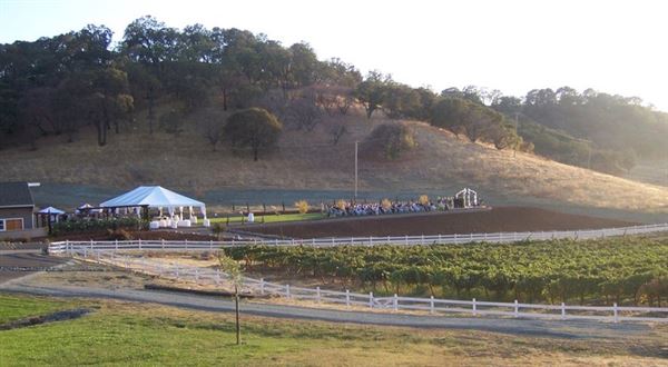 Vezer Family Vineyard