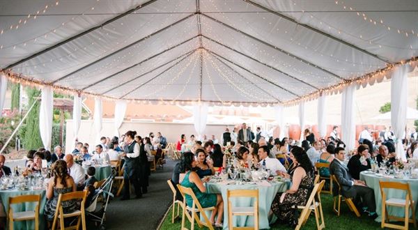 Vezer Family Vineyard