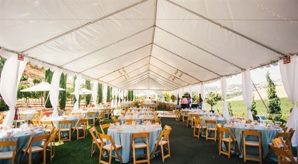 Vezer Family Vineyard