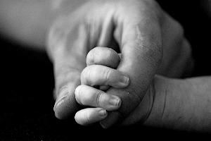 L.A. Photography, LLC