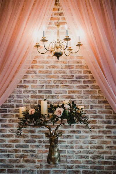 Cambridge Butterfly Conservatory