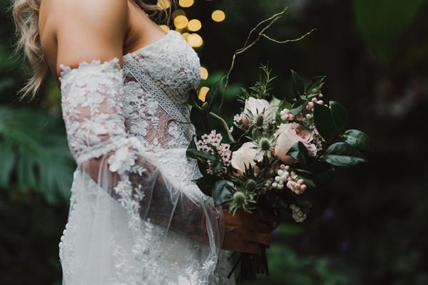 Cambridge Butterfly Conservatory