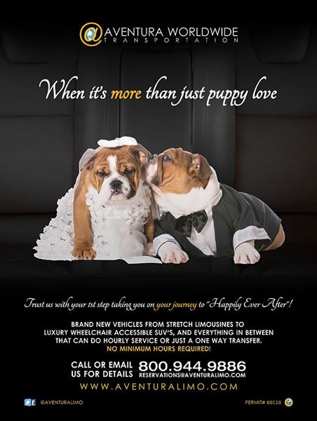 Aventura Worldwide Transportation