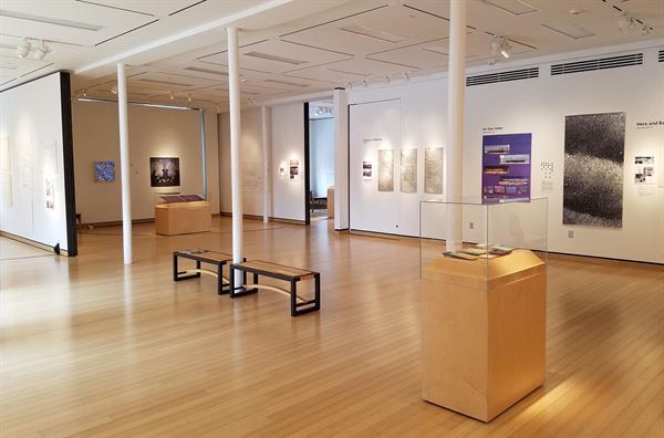 Iowa State University Museums