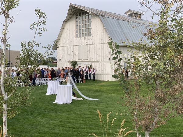 The White Barn