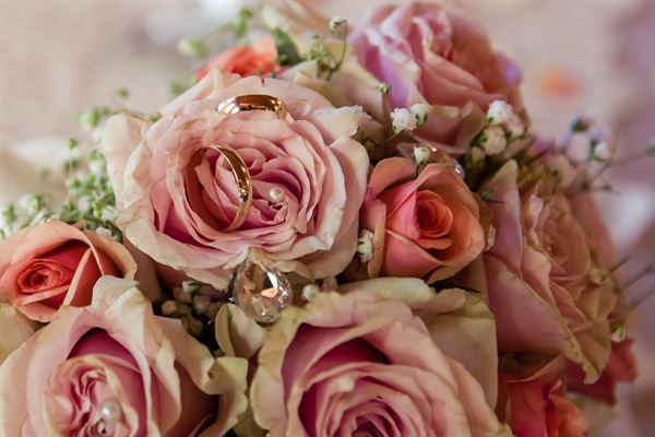 Ben Art Photography & Video