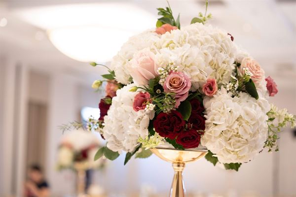 Embassy Suites Boston Logan