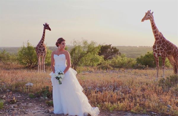 Y.O. Ranch Headquarters