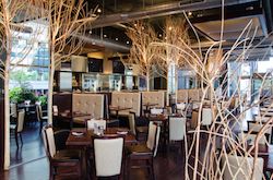 South Branch Tavern & Grille