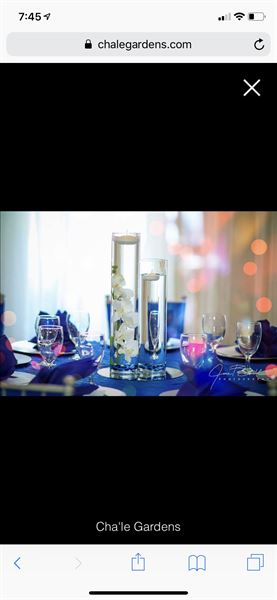 Elegant Affairs By Dione