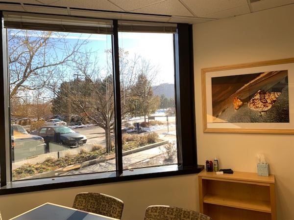 Intelligent Office (Denver Tech Center)