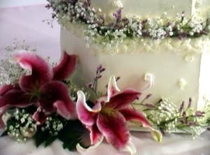 Arizona Wedding Video