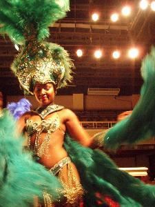 Rio Brasil Samba Shows
